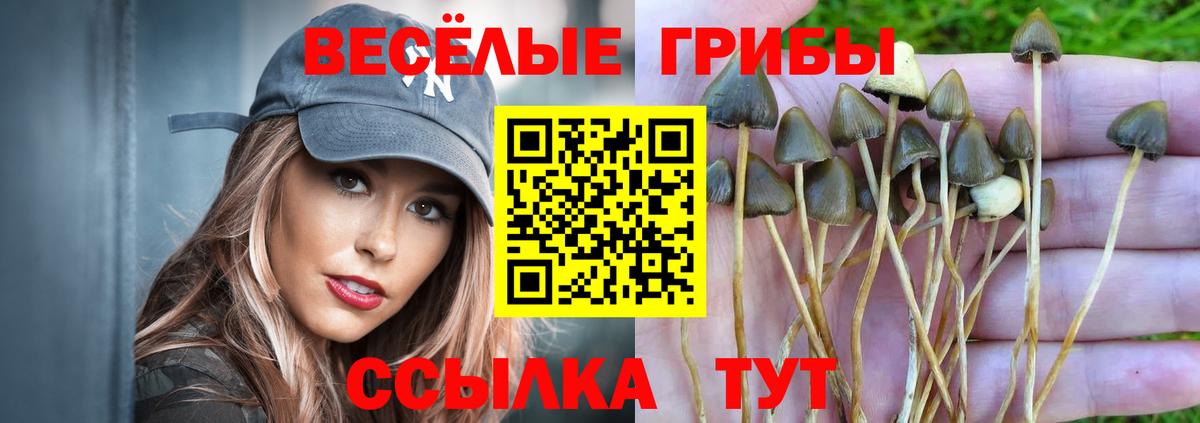 как найти закладки  Псилоцибиновые грибы мицелий  Вход с VPN  Свободный 